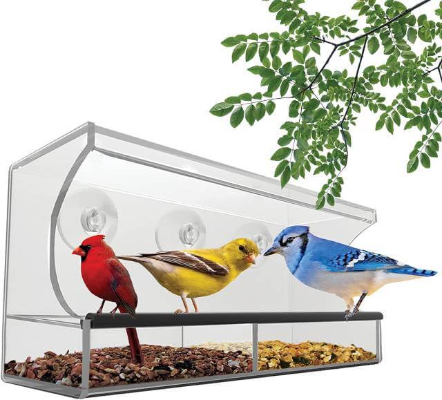 Nature's Hangout Clear Window Bird Feeder