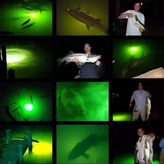 fishing light underwater
